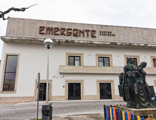 Conselho Municipal da Juventude aprova projetos nas áreas da Educação e Cultura