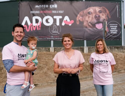 Campanha ADOTA promove adoção responsável de animais