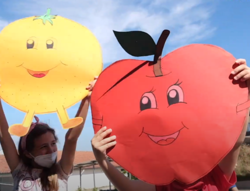 Município do Marco de Canaveses vai implementar projeto “Heróis da Fruta” em 46 estabelecimentos escolares
