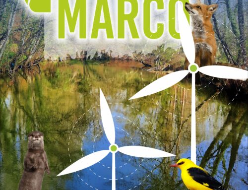 Fórum Ambiental para celebrar o dia Mundial do Ambiente no Marco de Canaveses – 5 de junho.