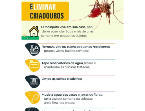 Identificada presença do mosquito-tigre no concelho do Marco de Canaveses
